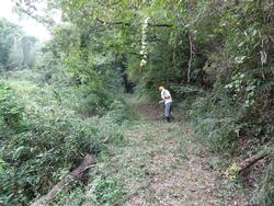 令和元年10月7日の通路整備作業の写真4