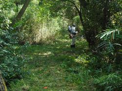 令和元年10月7日の通路整備作業の写真3