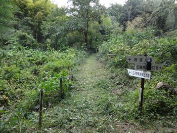 令和元年10月7日の通路整備作業の写真6