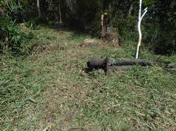 令和元年10月7日の通路整備作業の写真7