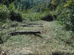 令和元年10月7日の通路整備作業の写真8