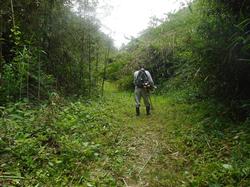 令和2年6月22日の通路整備作業の写真4