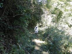 令和2年10月12日の通路整備作業の写真1