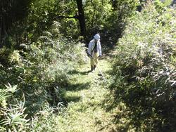 令和2年10月12日の通路整備作業の写真2