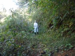 令和2年10月12日の通路整備作業の写真3