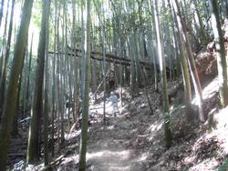 令和2年10月12日の通路整備作業の写真5