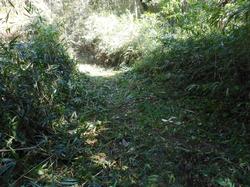 令和2年10月12日の通路整備作業の写真9