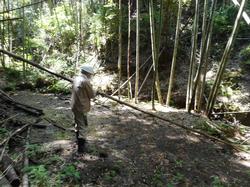 令和3年6月1日の通路整備作業の写真3