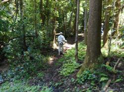 令和3年6月1日の通路整備作業の写真4