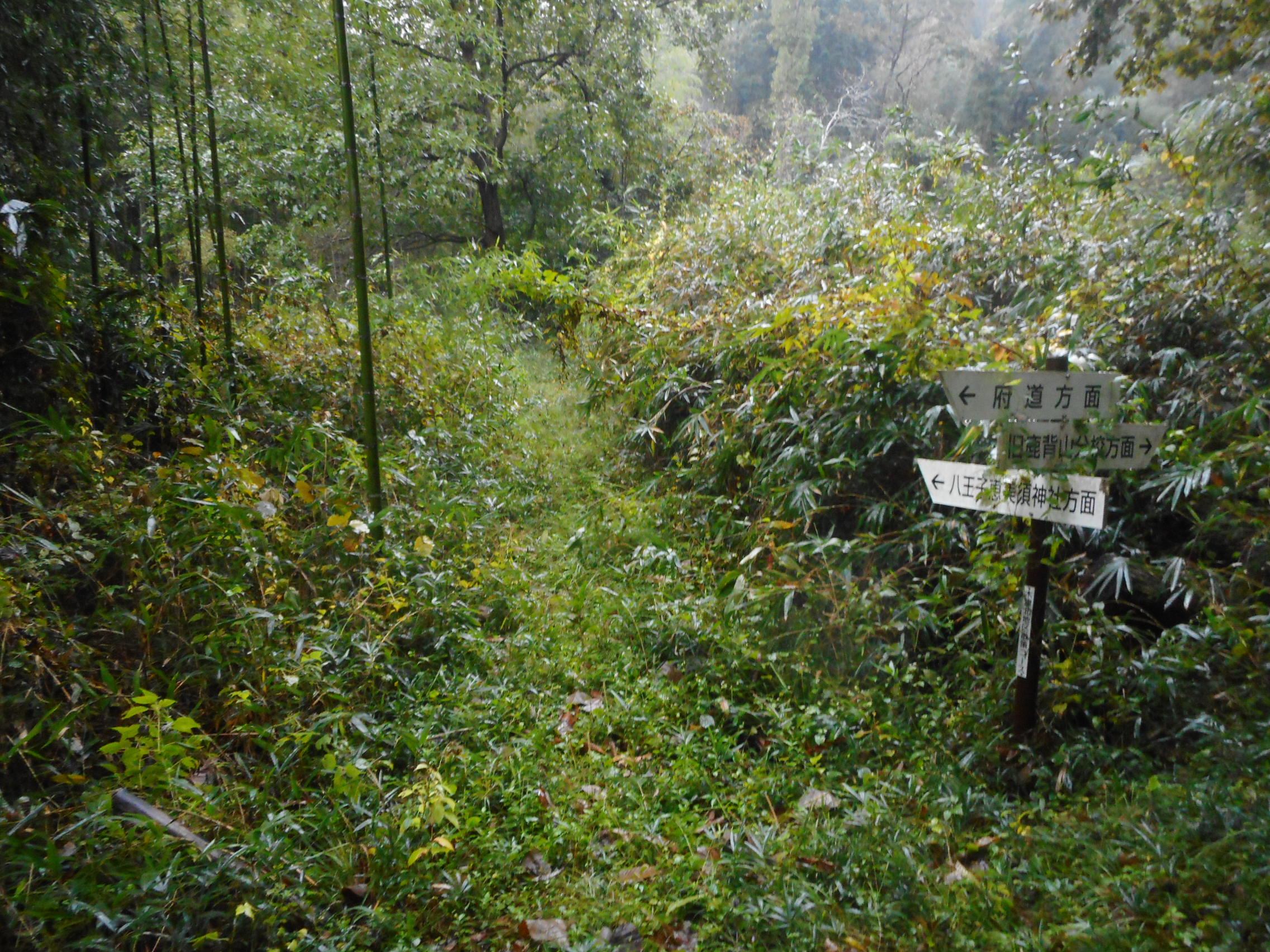 令和3年10月26日の通路整備作業の写真1