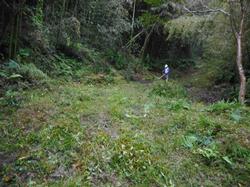 令和3年10月26日の通路整備作業の写真5