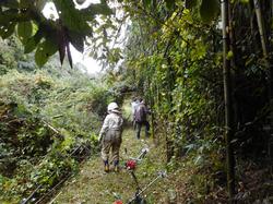 令和3年10月26日の通路整備作業の写真6