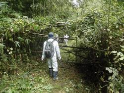 令和3年10月26日の通路整備作業の写真7