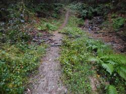 令和3年10月26日の通路整備作業の写真9