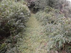 令和3年10月26日の通路整備作業の写真14