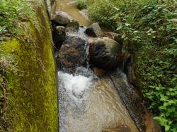 令和4年10月12日の通路整備作業の写真3