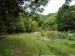 令和4年10月12日の通路整備作業の写真4