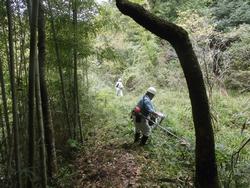 令和4年10月12日の通路整備作業の写真8