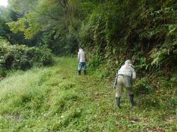 令和4年10月12日の通路整備作業の写真9