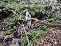 令和4年10月12日の通路整備作業の写真10