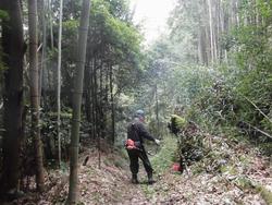 令和4年10月12日の通路整備作業の写真11