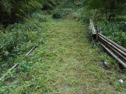 令和4年10月12日の通路整備作業の写真12