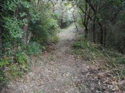 令和4年10月12日の通路整備作業の写真13