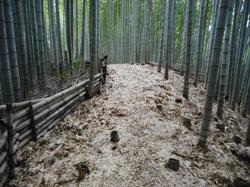 令和4年10月12日の通路整備作業の写真14