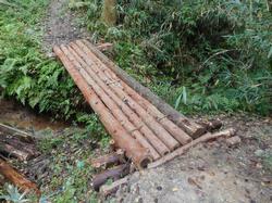 令和4年10月12日の通路整備作業の写真17