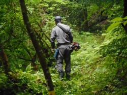 令和5年6月9日の通路整備作業の写真8