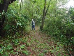 令和5年6月9日の通路整備作業の写真10