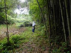 令和5年6月9日の通路整備作業の写真11