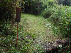 令和5年6月9日の通路整備作業の写真13