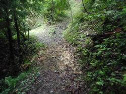 令和5年6月9日の通路整備作業の写真14