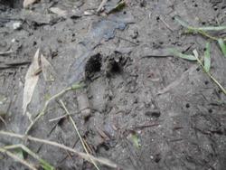 令和5年10月20日の通路整備作業の写真5