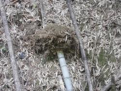 令和5年10月20日の通路整備作業の写真6