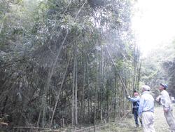 令和5年10月20日の通路整備作業の写真11