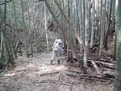 令和5年10月20日の通路整備作業の写真12