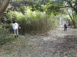 令和5年10月20日の通路整備作業の写真14