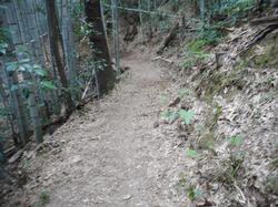 令和5年10月20日の通路整備作業の写真15