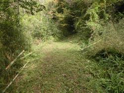 令和5年10月20日の通路整備作業の写真17