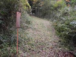 令和5年10月20日の通路整備作業の写真18