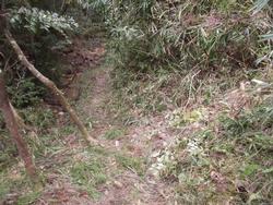 令和5年10月20日の通路整備作業の写真19