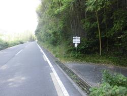 令和6年5月24日の通路整備作業の写真1