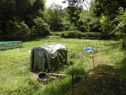 令和6年5月24日の通路整備作業の写真4