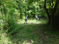 令和6年5月24日の通路整備作業の写真6