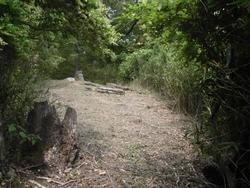 令和6年5月24日の通路整備作業の写真11