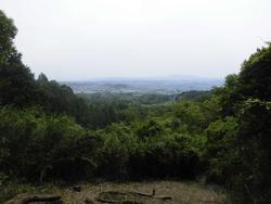 令和6年5月24日の通路整備作業の写真12