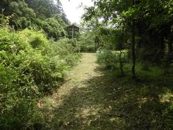 令和6年5月24日の通路整備作業の写真13