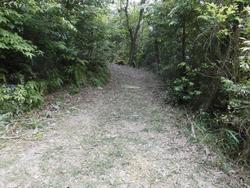 令和6年5月24日の通路整備作業の写真15